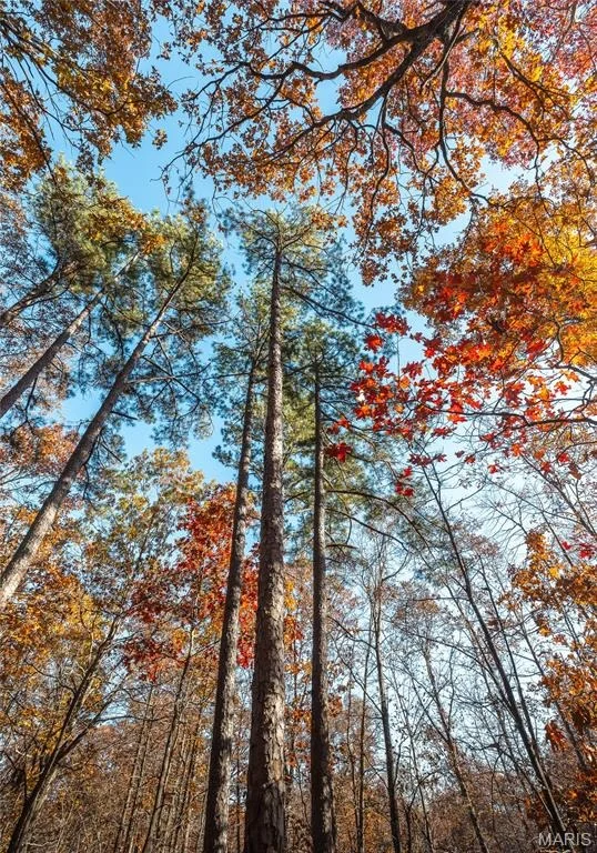 Photo of 15682 Winding Trail