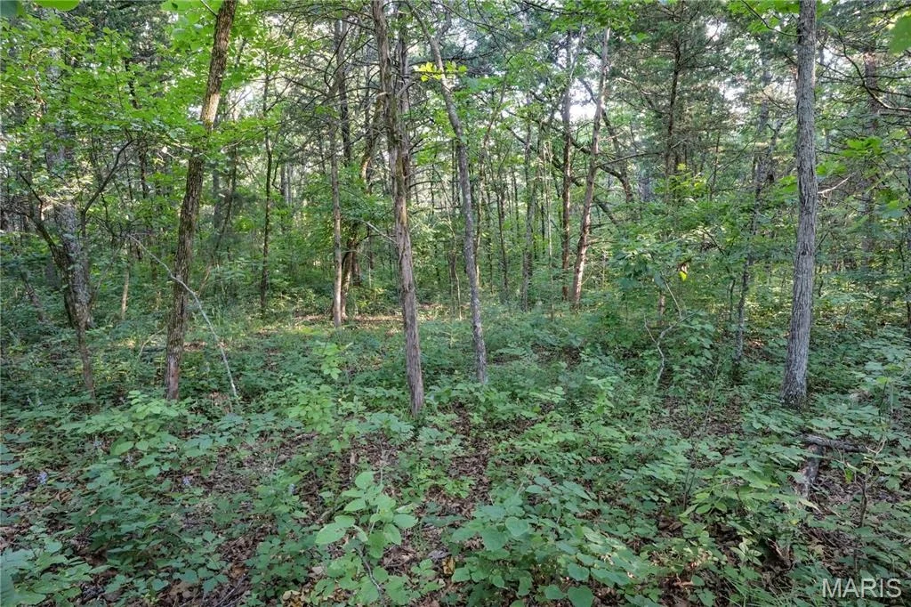 Photo of 00 State Road 94