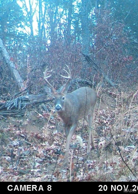 Photo of 00 State Road 94