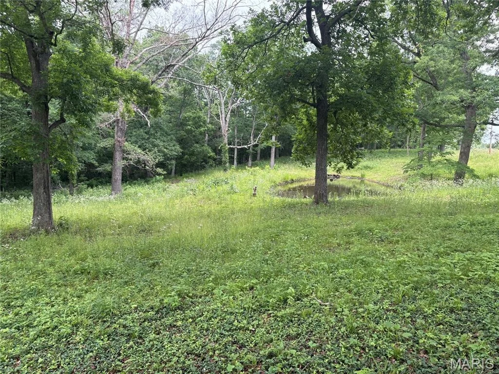 Photo of 7440 Highway 17