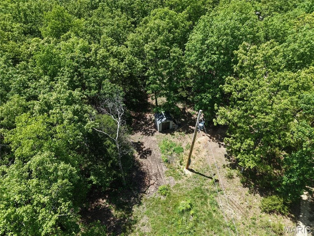 Photo of 12 Werifesteria Court