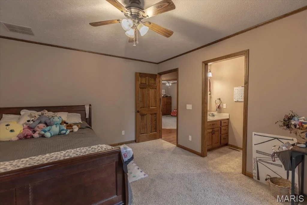 Photo of 503 Primrose Lane