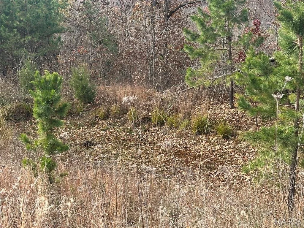 Photo of 4330 Highway Y