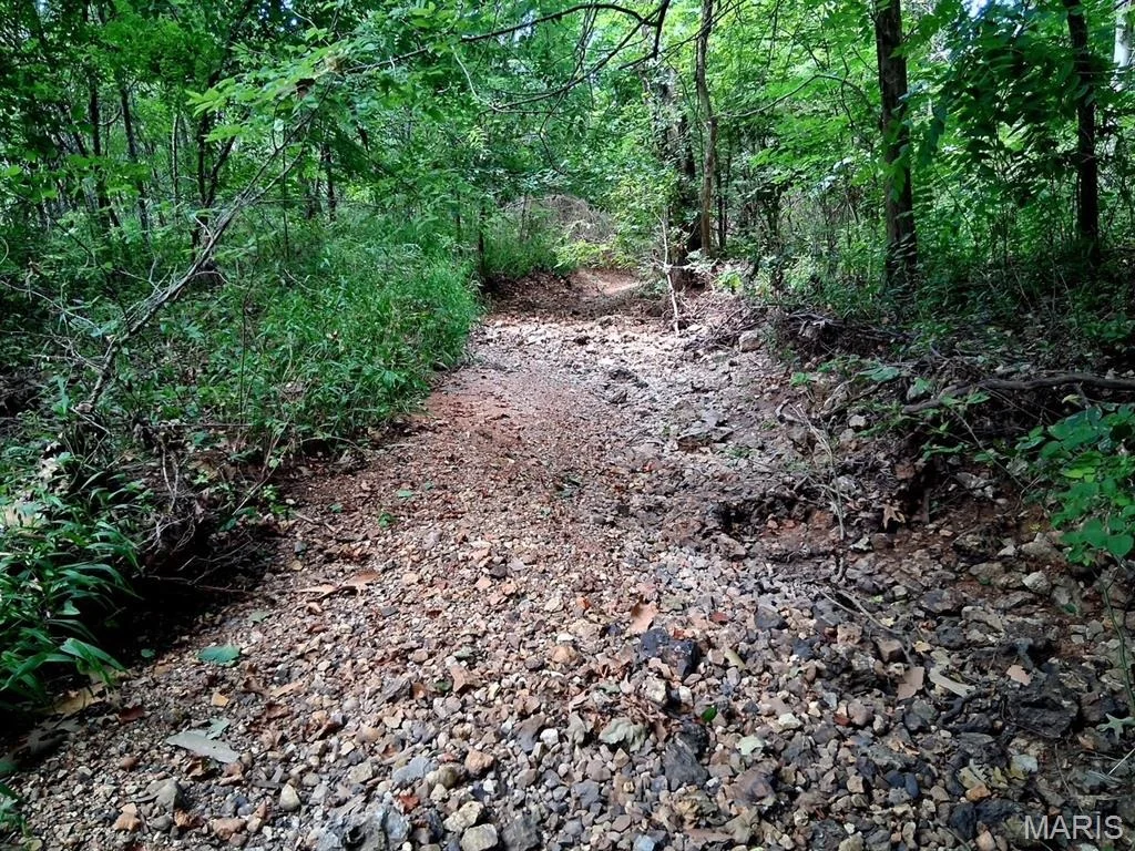 Photo of 7981 County Road 5090