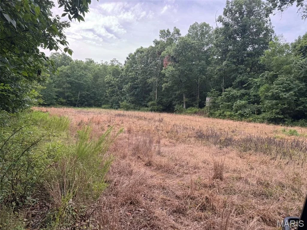 Photo of 5996 County Road 654