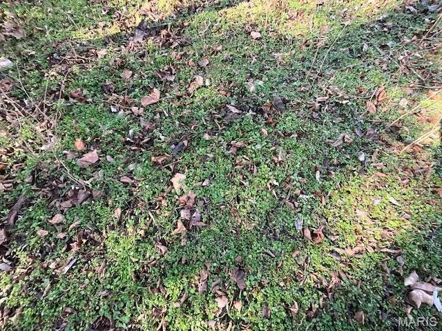 Photo of 594 County Road 873