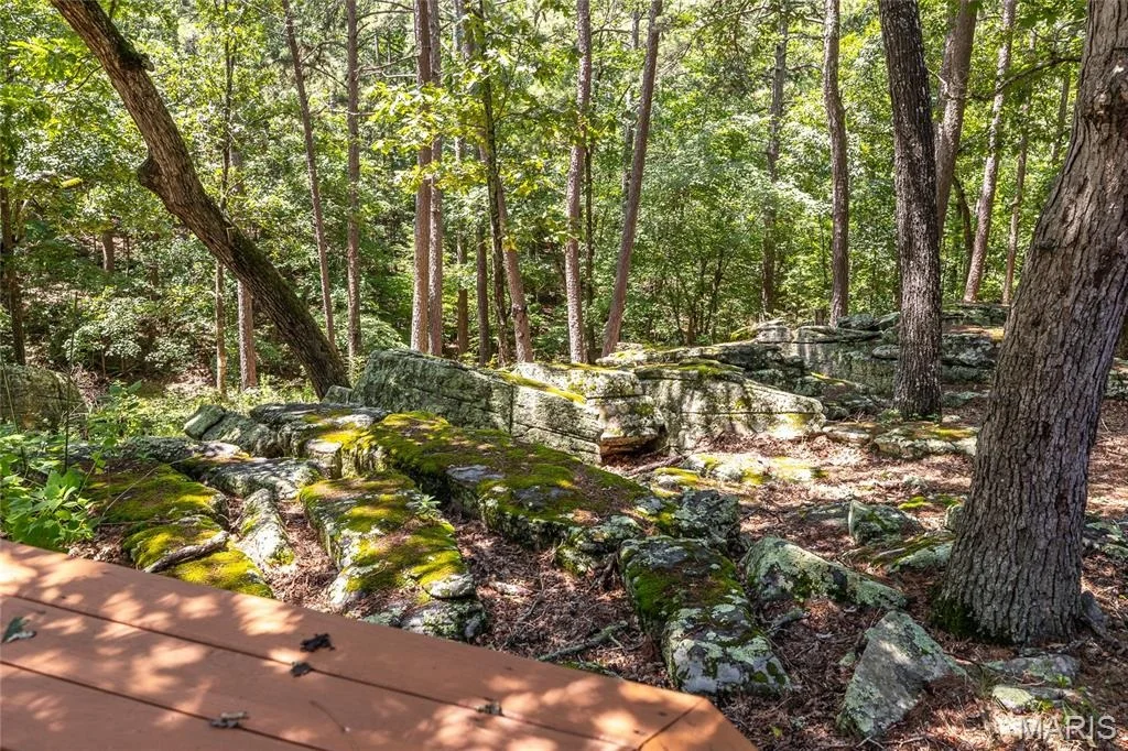 Photo of 11545 Slaughter Road