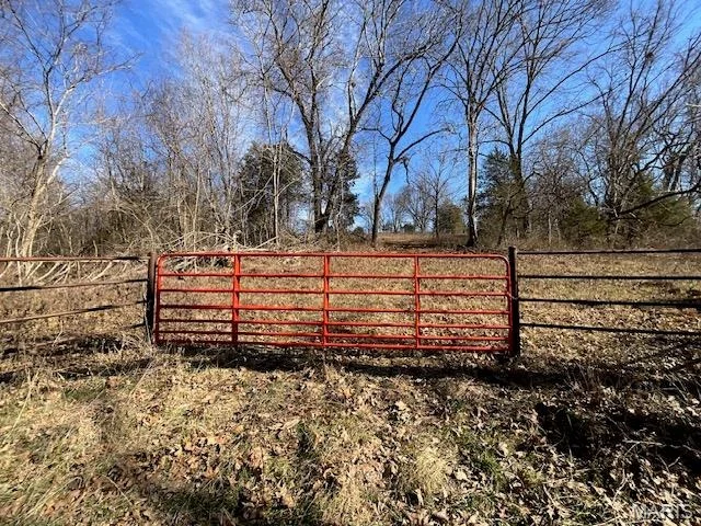 Photo of 594 County Road 873