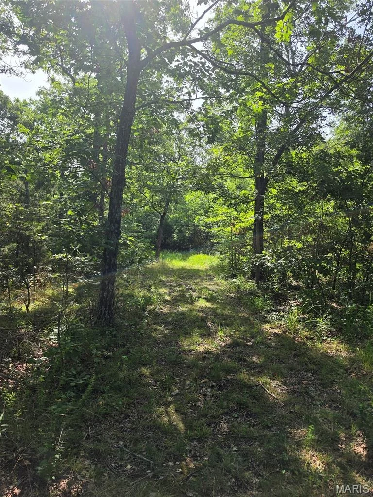 Photo of 11526 Highway 5