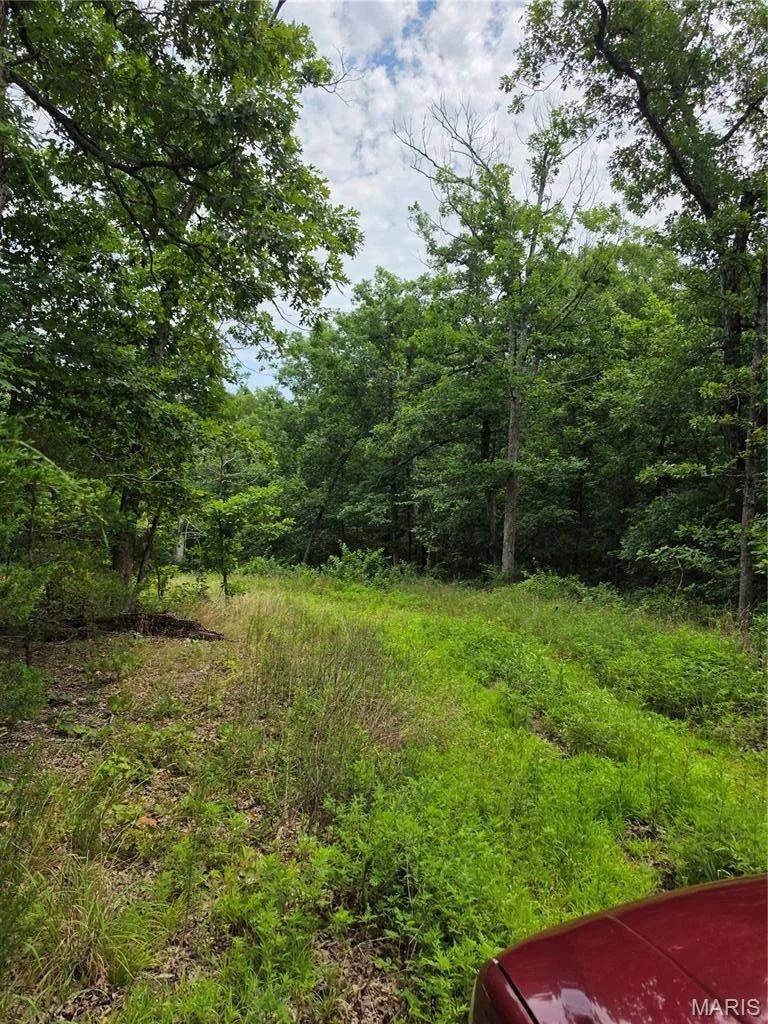 Photo of 23675 Grandview Road