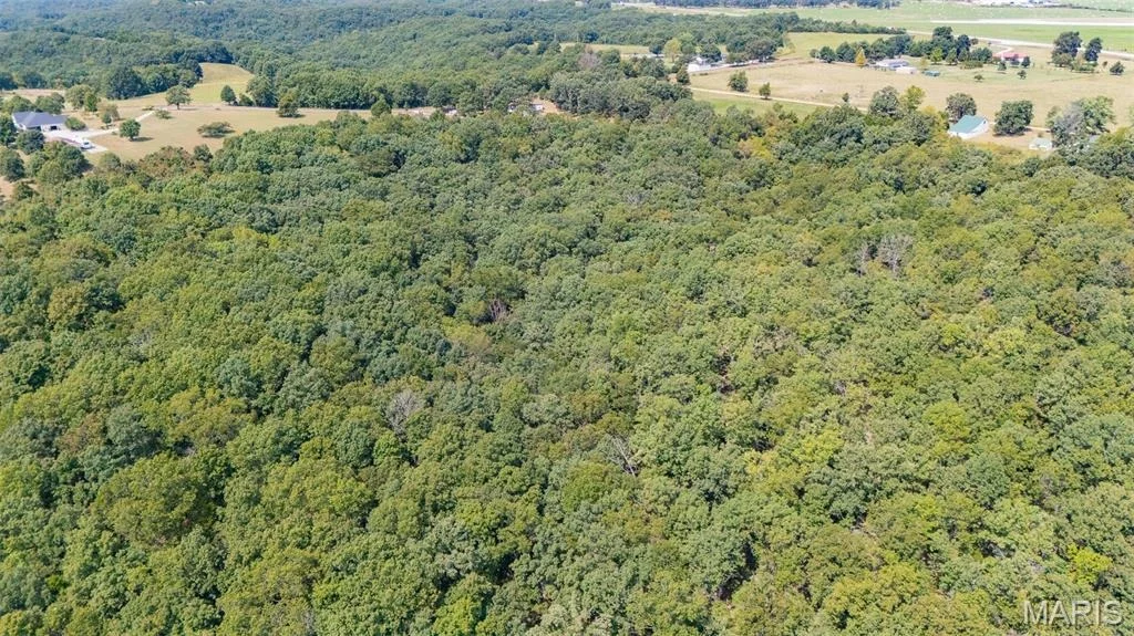 Photo of 14456 Highway FF