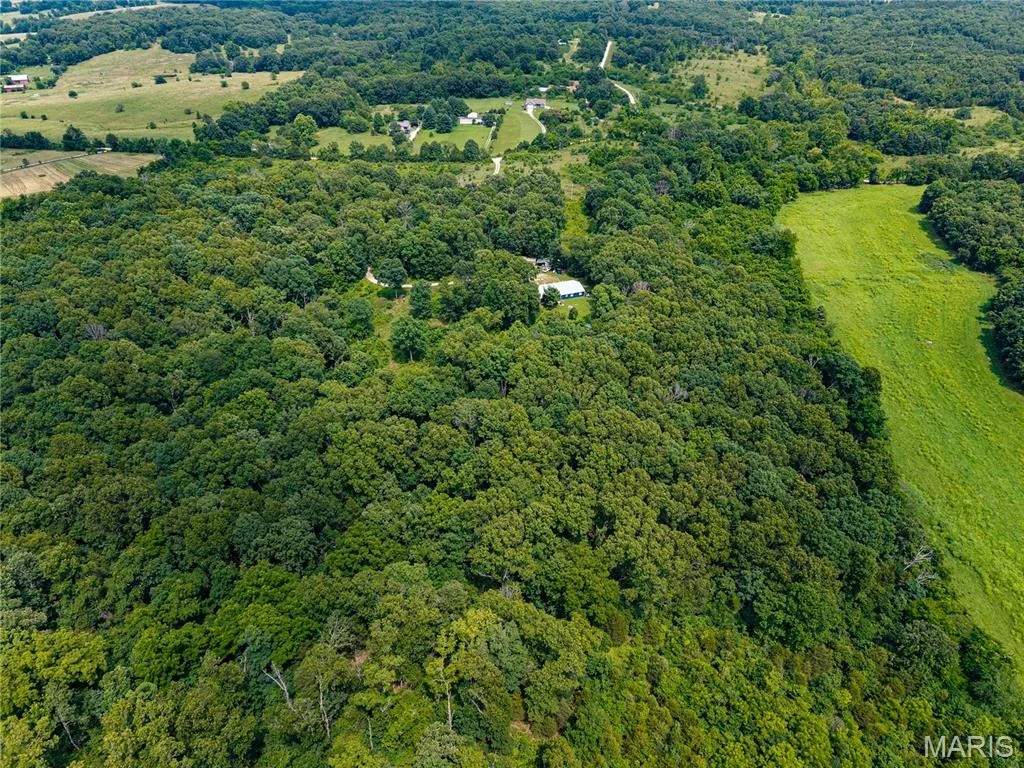 Photo of 7981 County Road 5090
