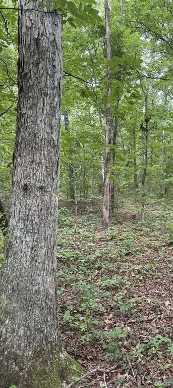 Photo of 5996 County Road 654