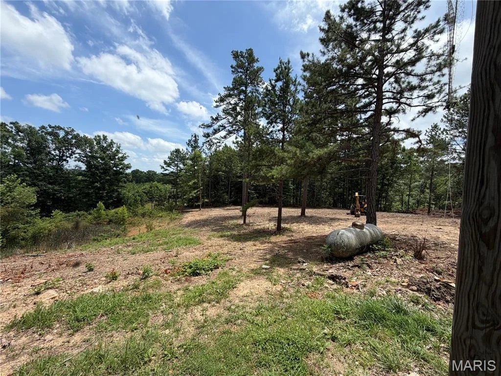 Photo of 25952 State Highway 19