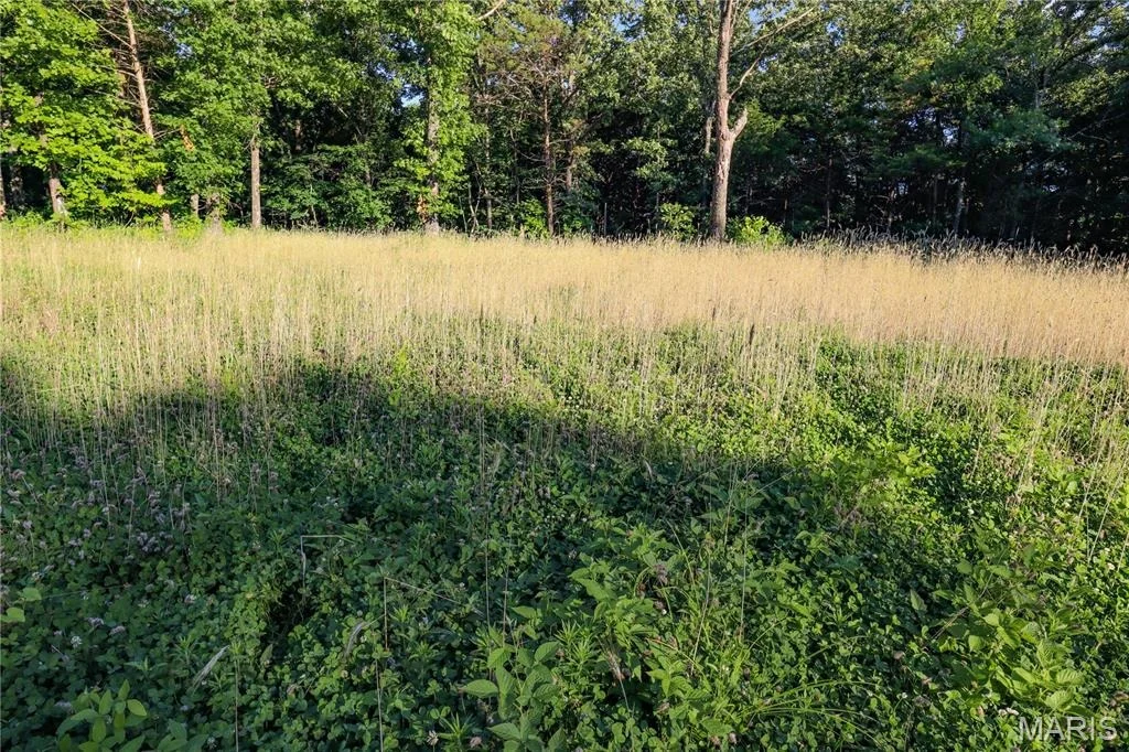 Photo of 00 State Road 94