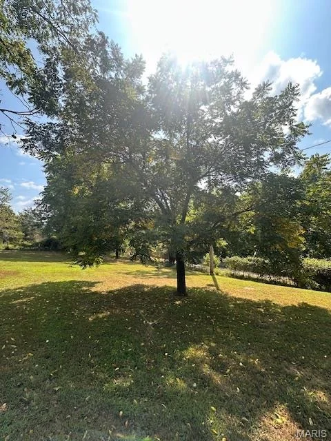 Photo of 761 Harlow Road