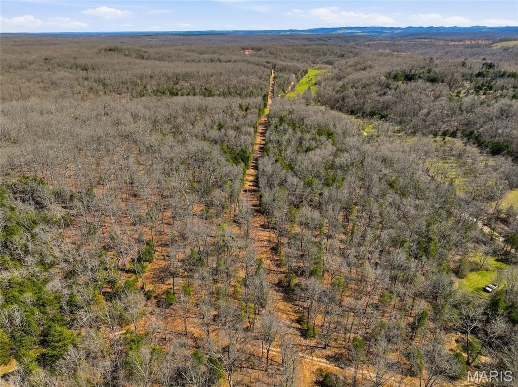 Photo of 2480 County Road 317