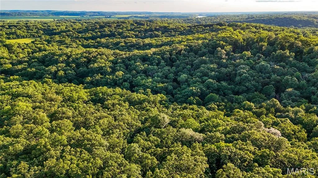 Photo of 00 State Road 94