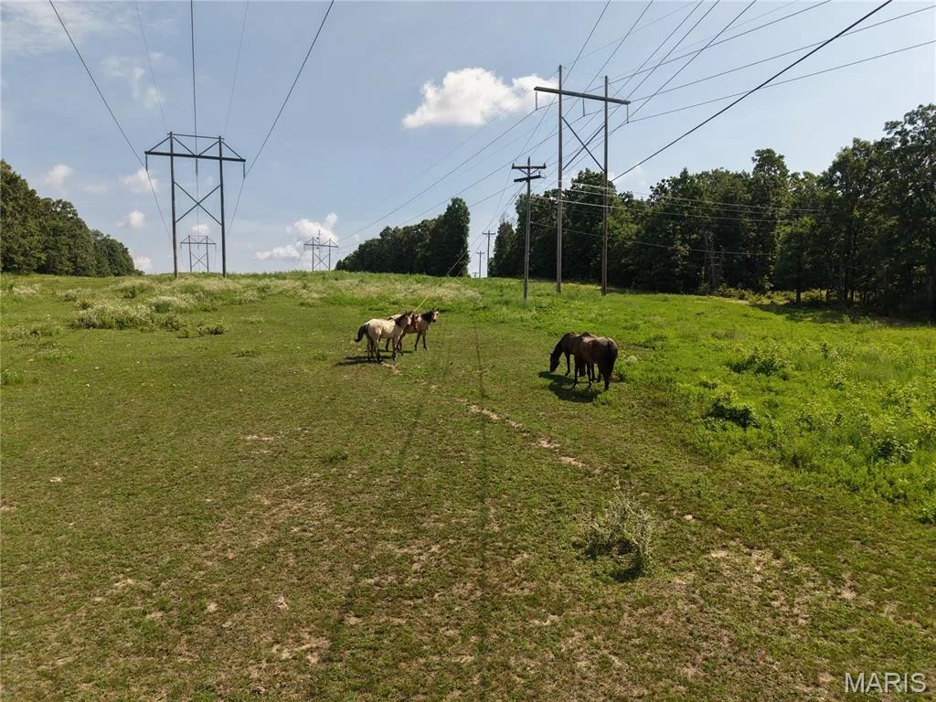 Photo of 21503 Highway 28 W