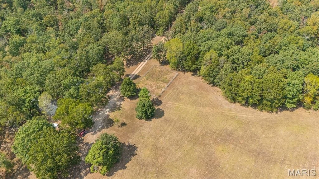 Photo of 12502 Bell Road