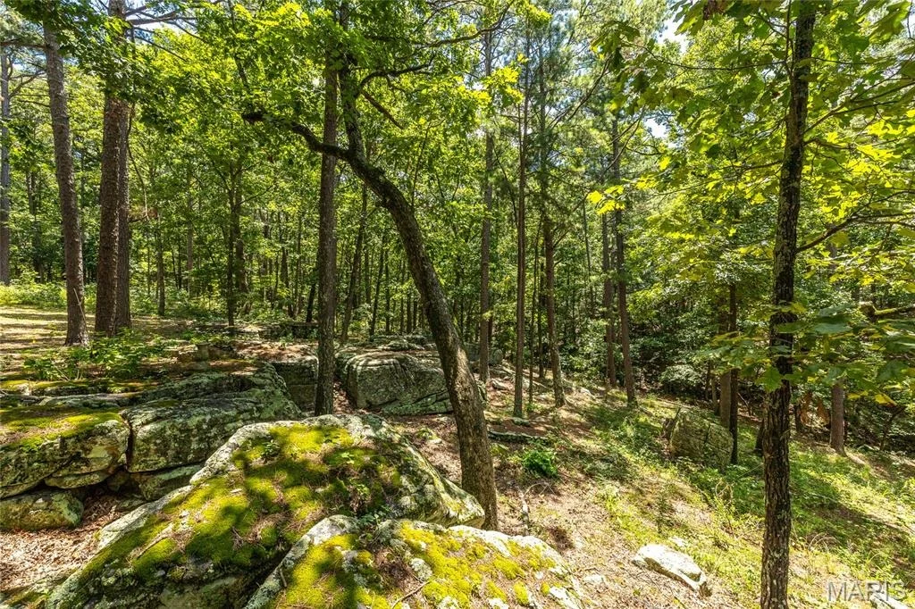 Photo of 11545 Slaughter Road