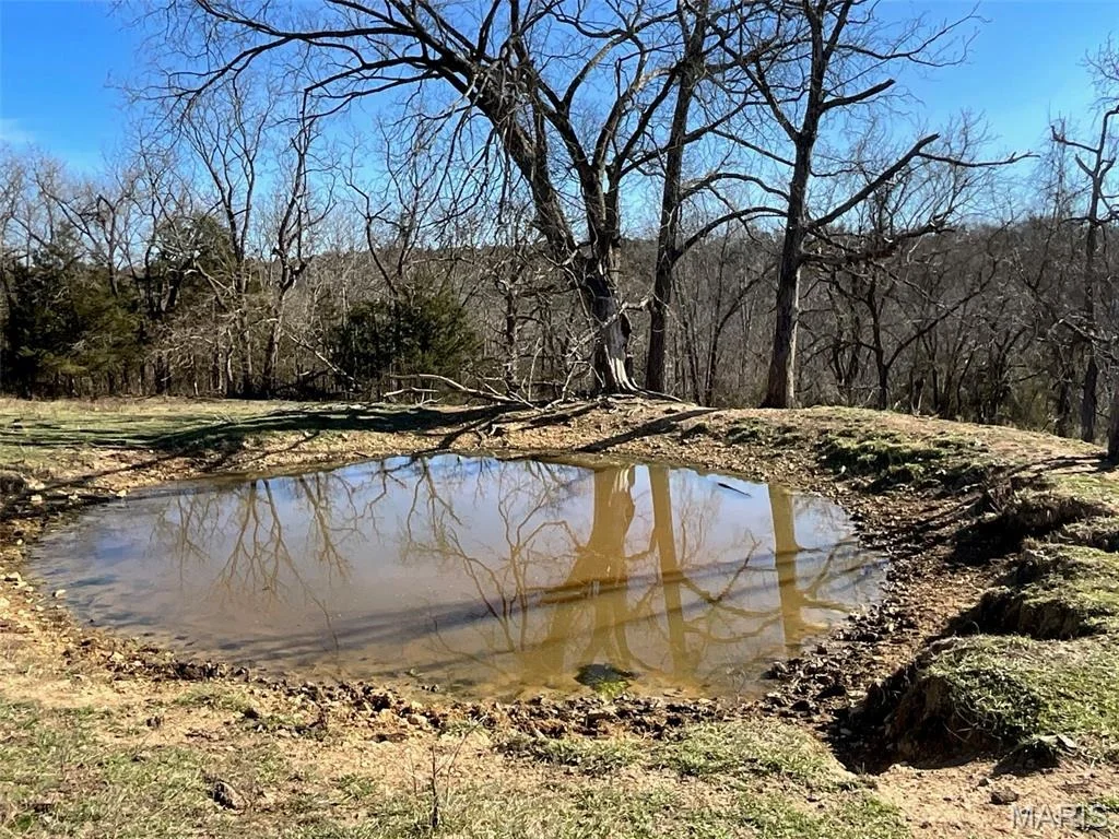 Photo of 594 County Road 873