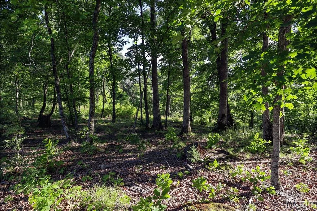 Photo of 00 State Road 94