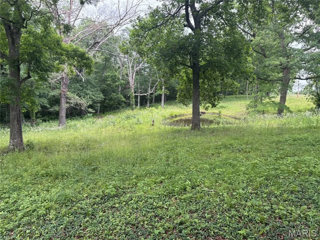 Photo of 7440 Highway 17