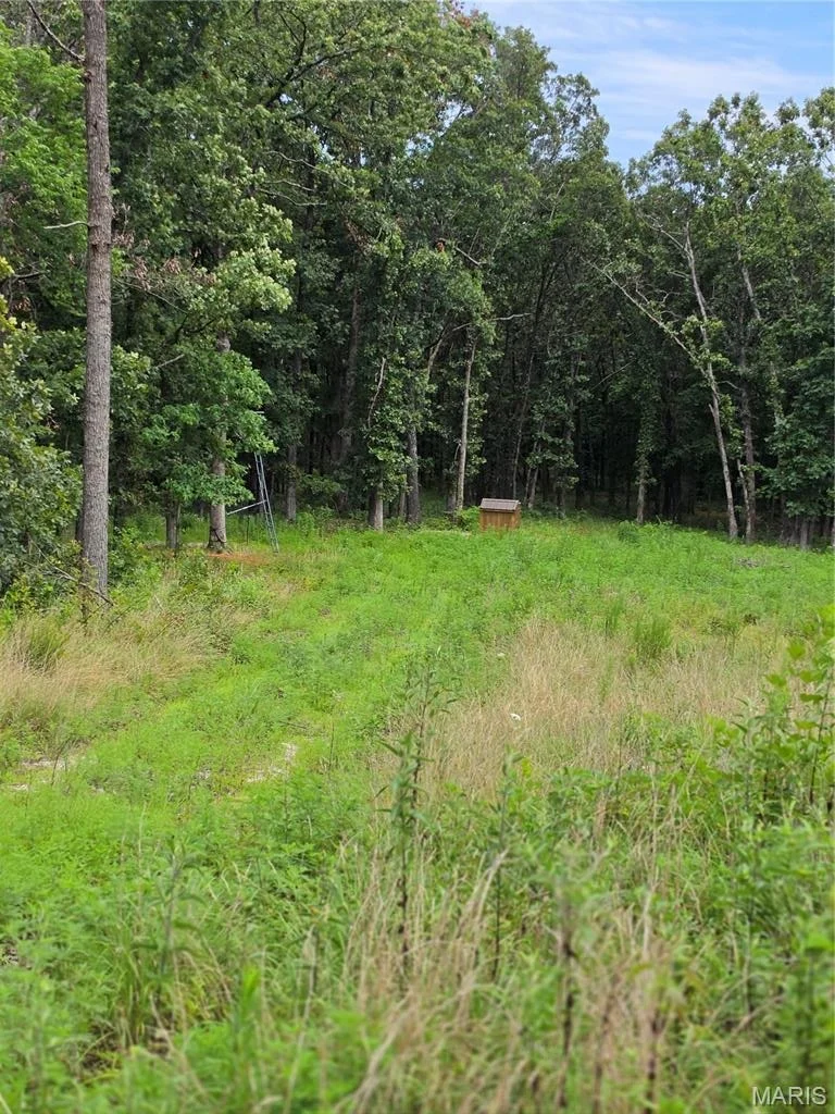 Photo of 23675 Grandview Road