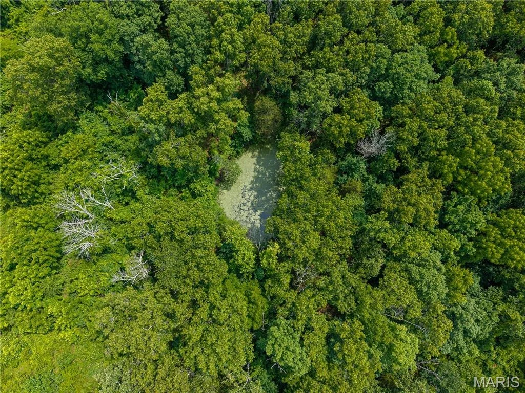 Photo of 7981 County Road 5090
