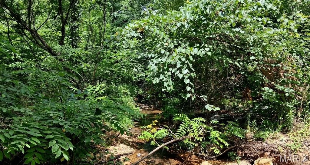 Photo of 7981 County Road 5090