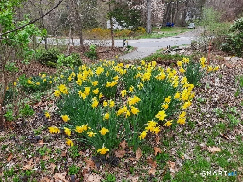 Photo of 1169 Flanders Road