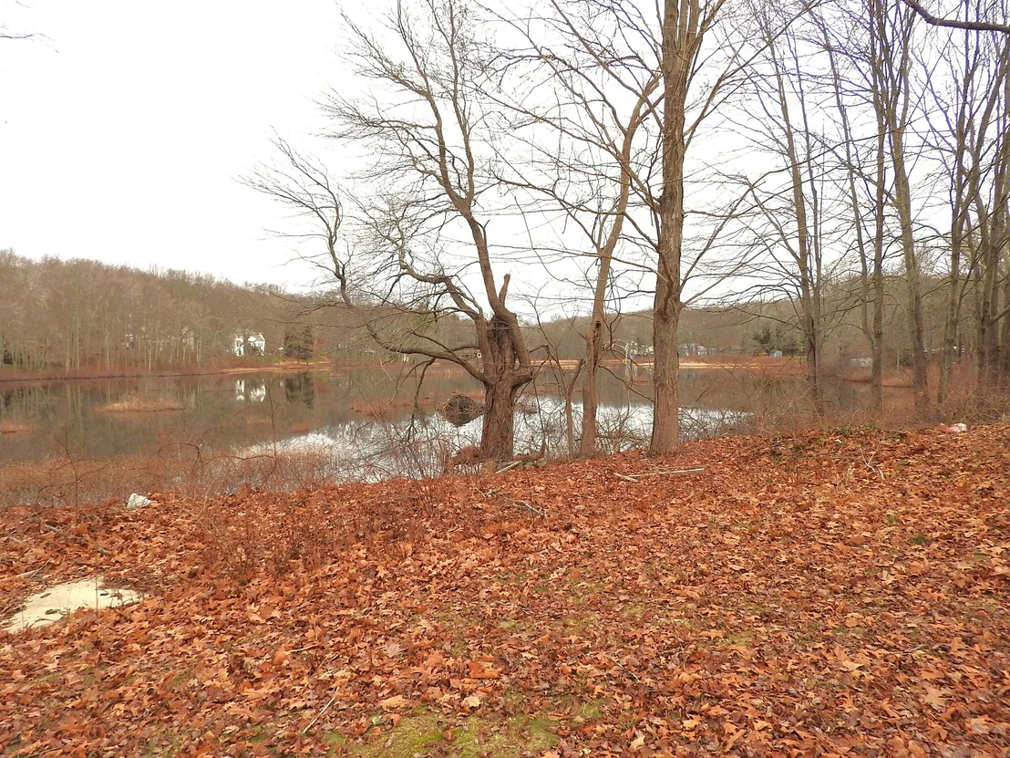 Photo of 510 Mcveagh Road