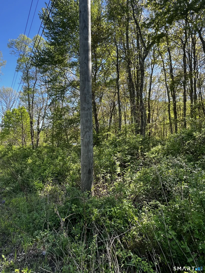 Photo of 408 Martin Road