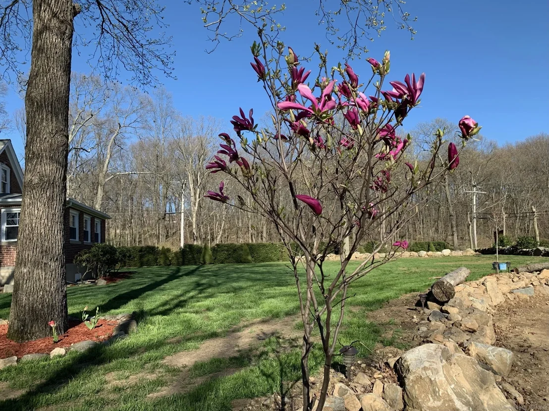 Photo of 625 Maple Hill Road