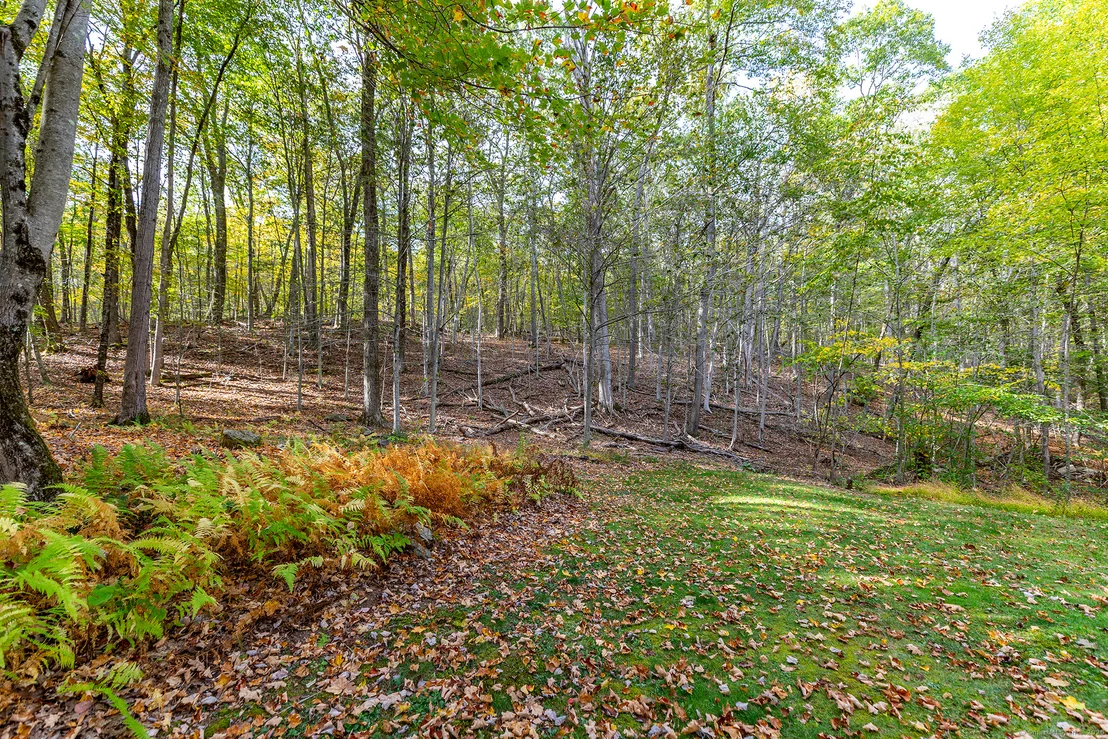 Photo of 38 Mountain Lane