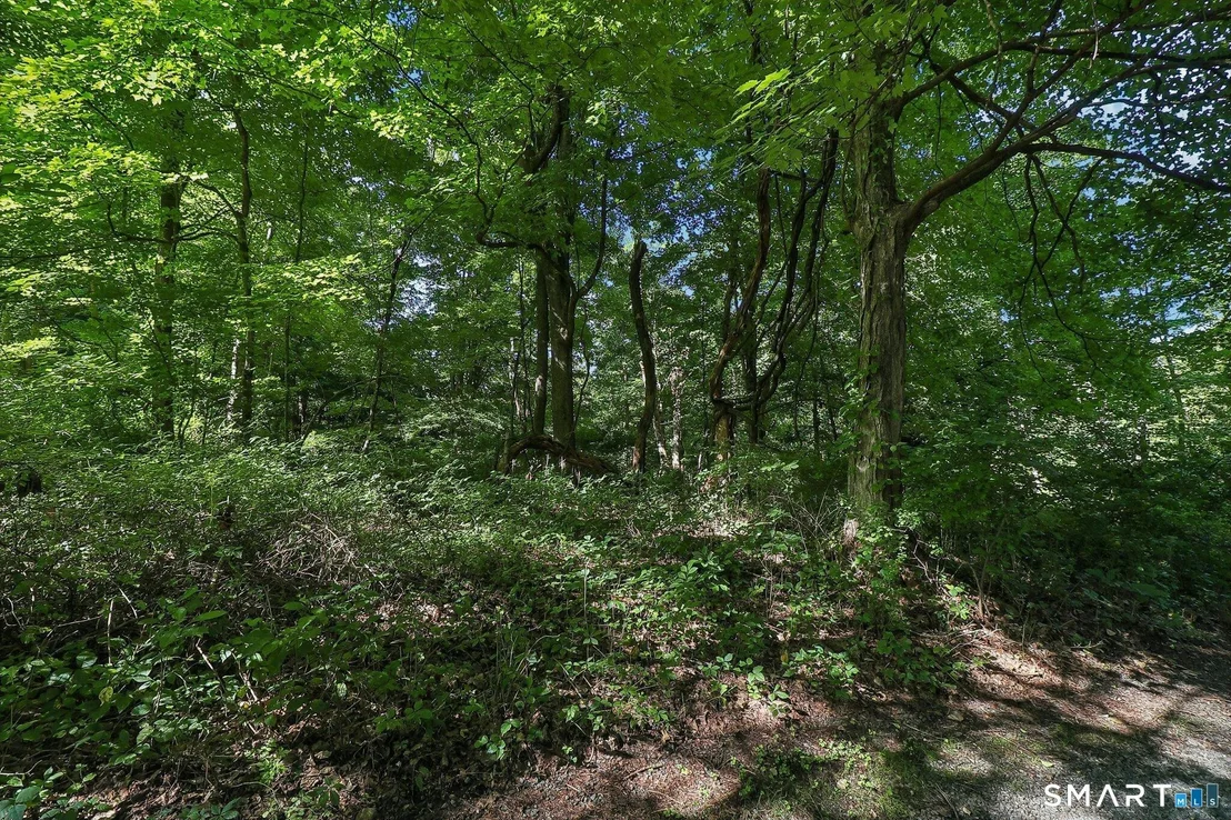 Photo of 62 Coppermine Road