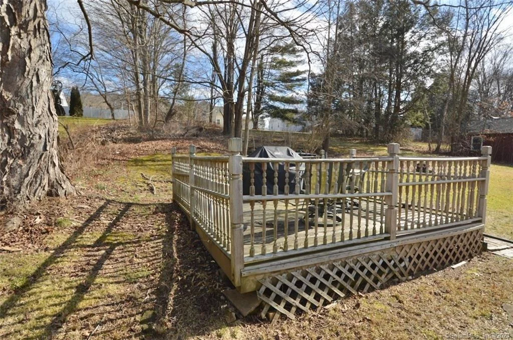 Photo of 56 Willow Street