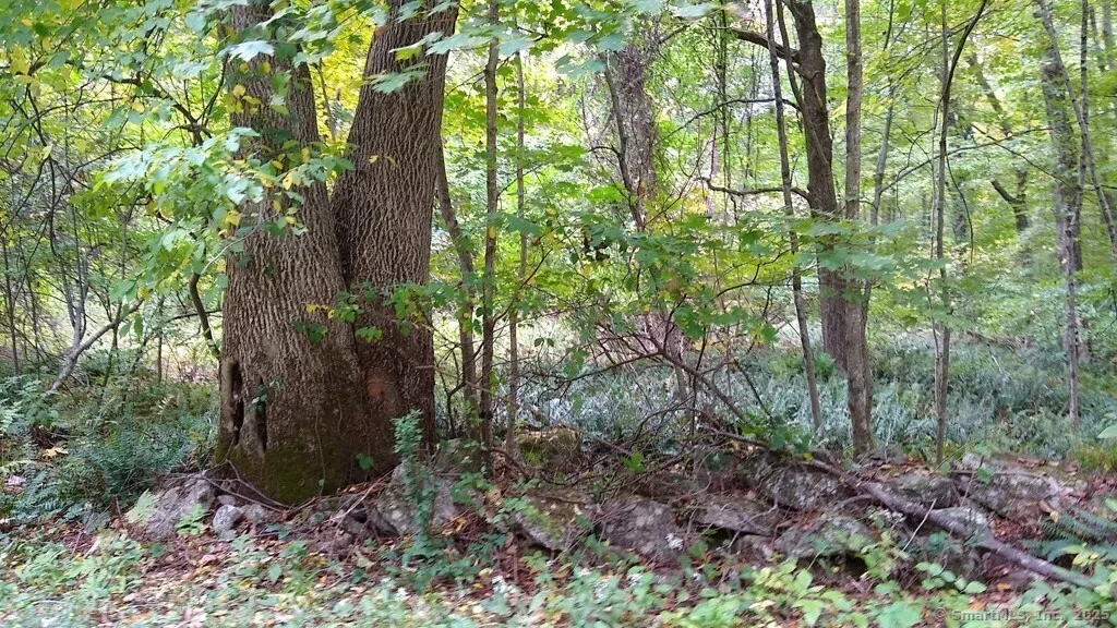 Photo of 0 Chowanec Road