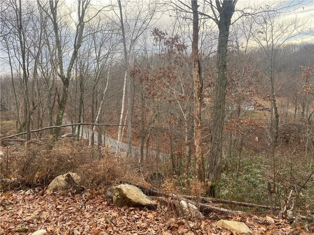 Photo of 52 Chestnut Hill Road