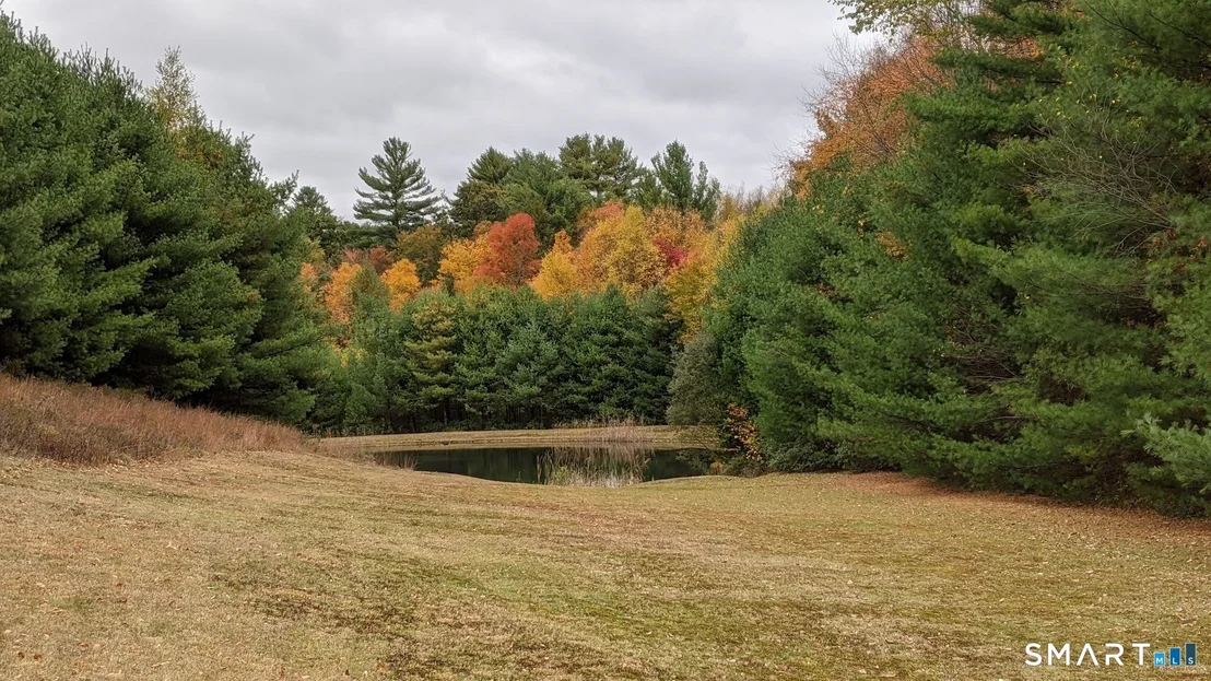 Photo of 228 Ruby Road