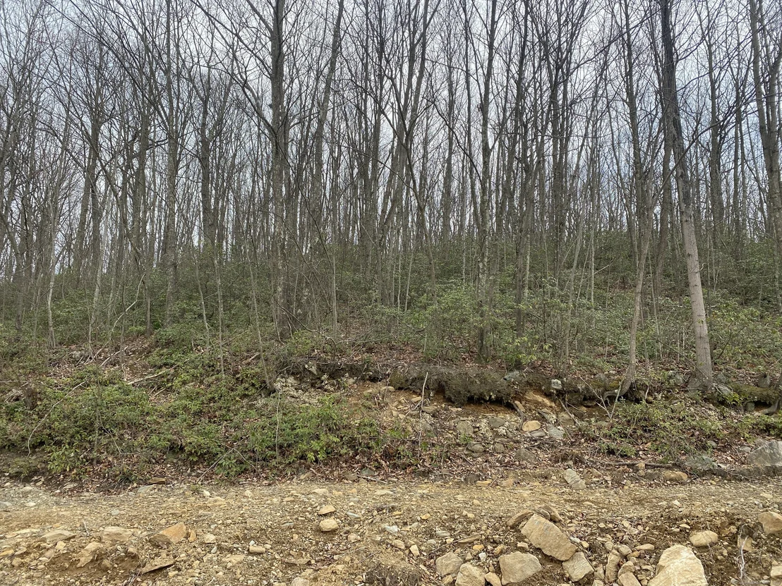 Photo of 52 Chestnut Hill Road
