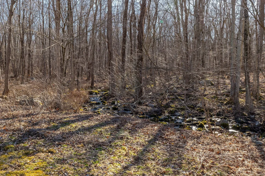 Photo of 97 Bass Road
