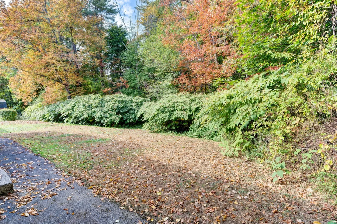 Photo of 244 Pineridge Road