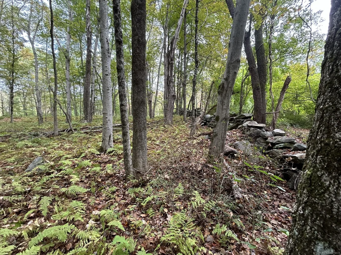 Photo of Map 206 Lot 6 Gates Road