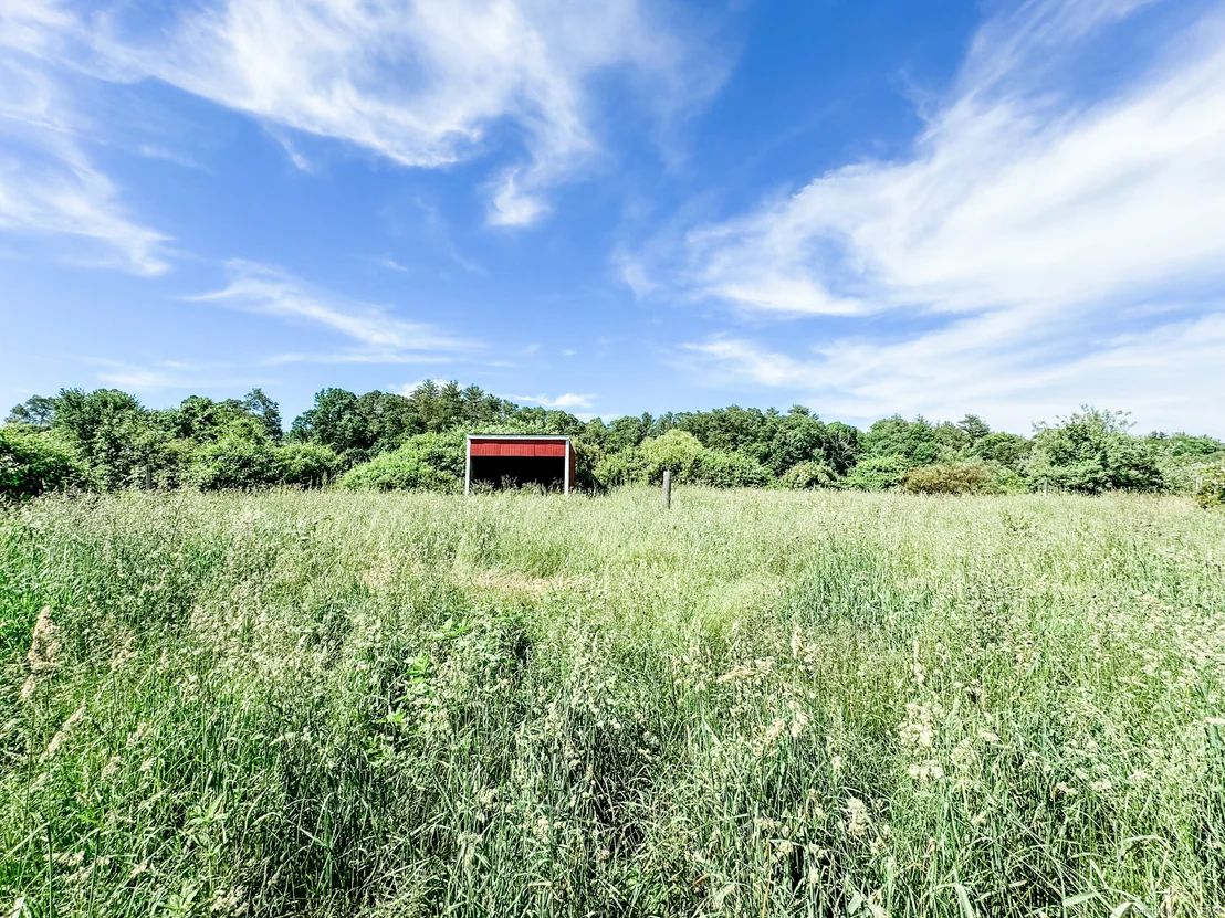 Photo of 164 Gorman Road