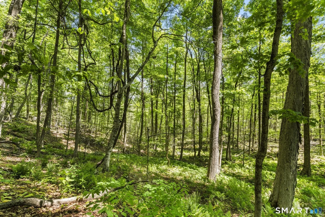 Photo of 321 Colebrook Road