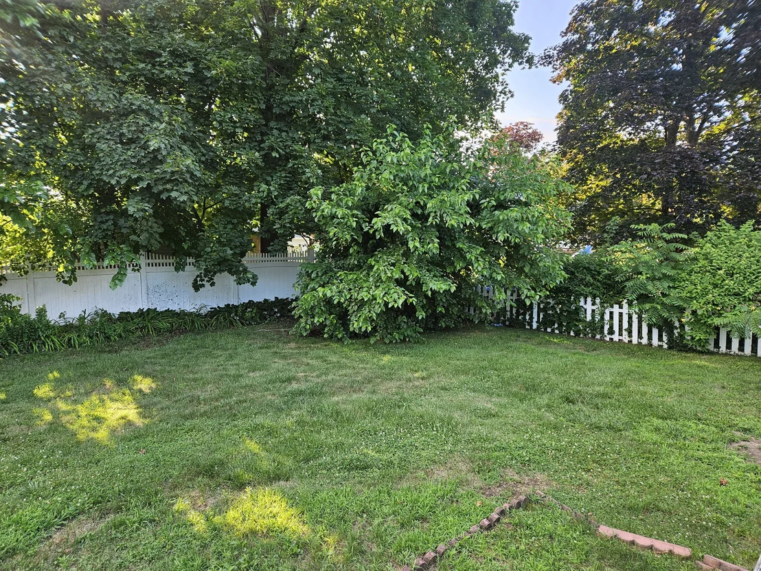 Photo of 58 Matilda Drive