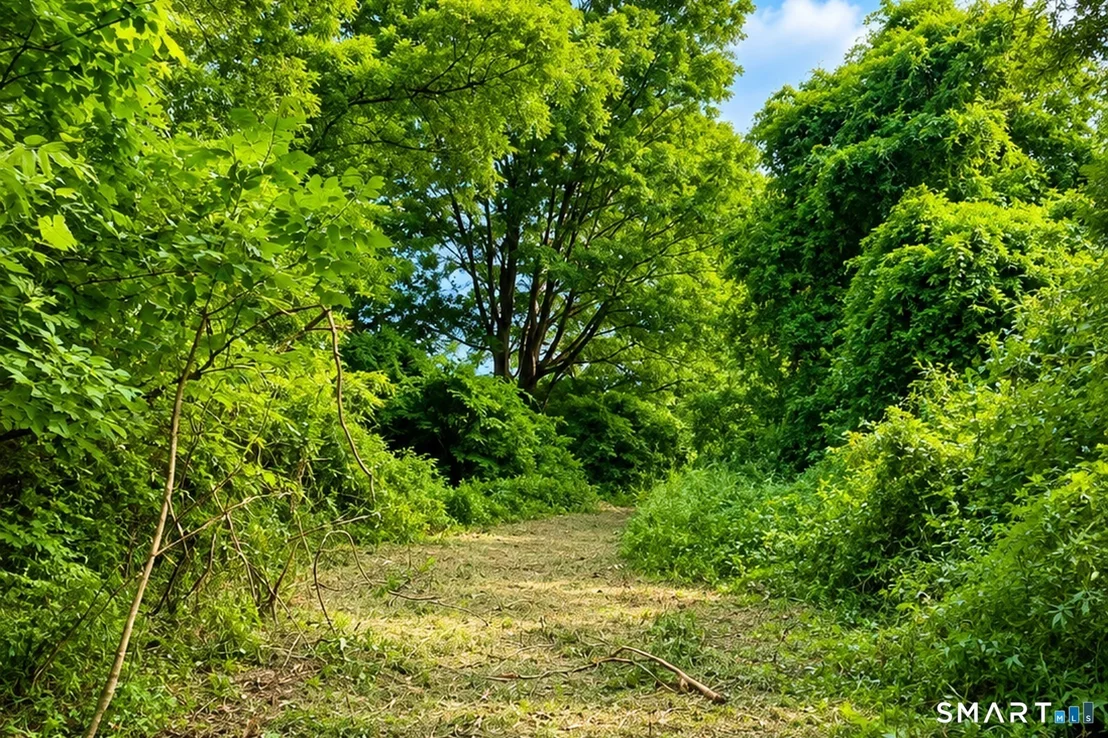 Photo of 3 Hall Road