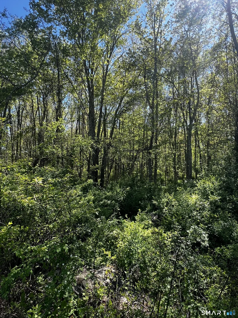 Photo of 408 Martin Road